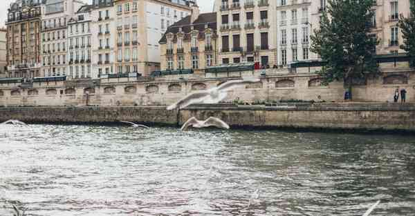 外国建筑机器人智能建造